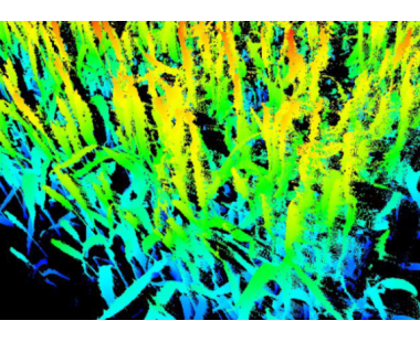 三維激光掃描儀在農(nóng)業(yè)中